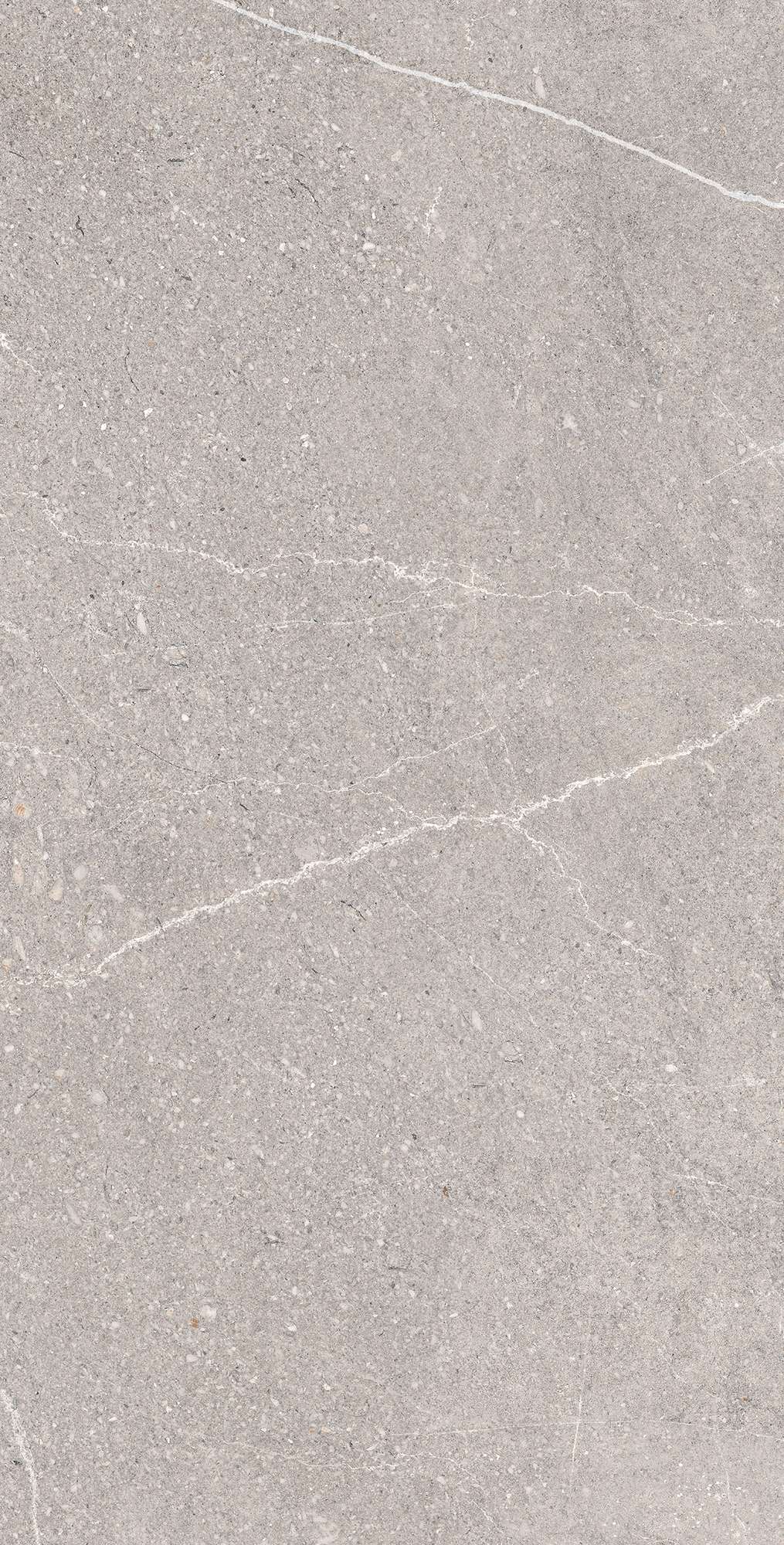 RG6001-A Equistone Gris Rotto Glossy Ink 60x120 Arcadia Ceramica