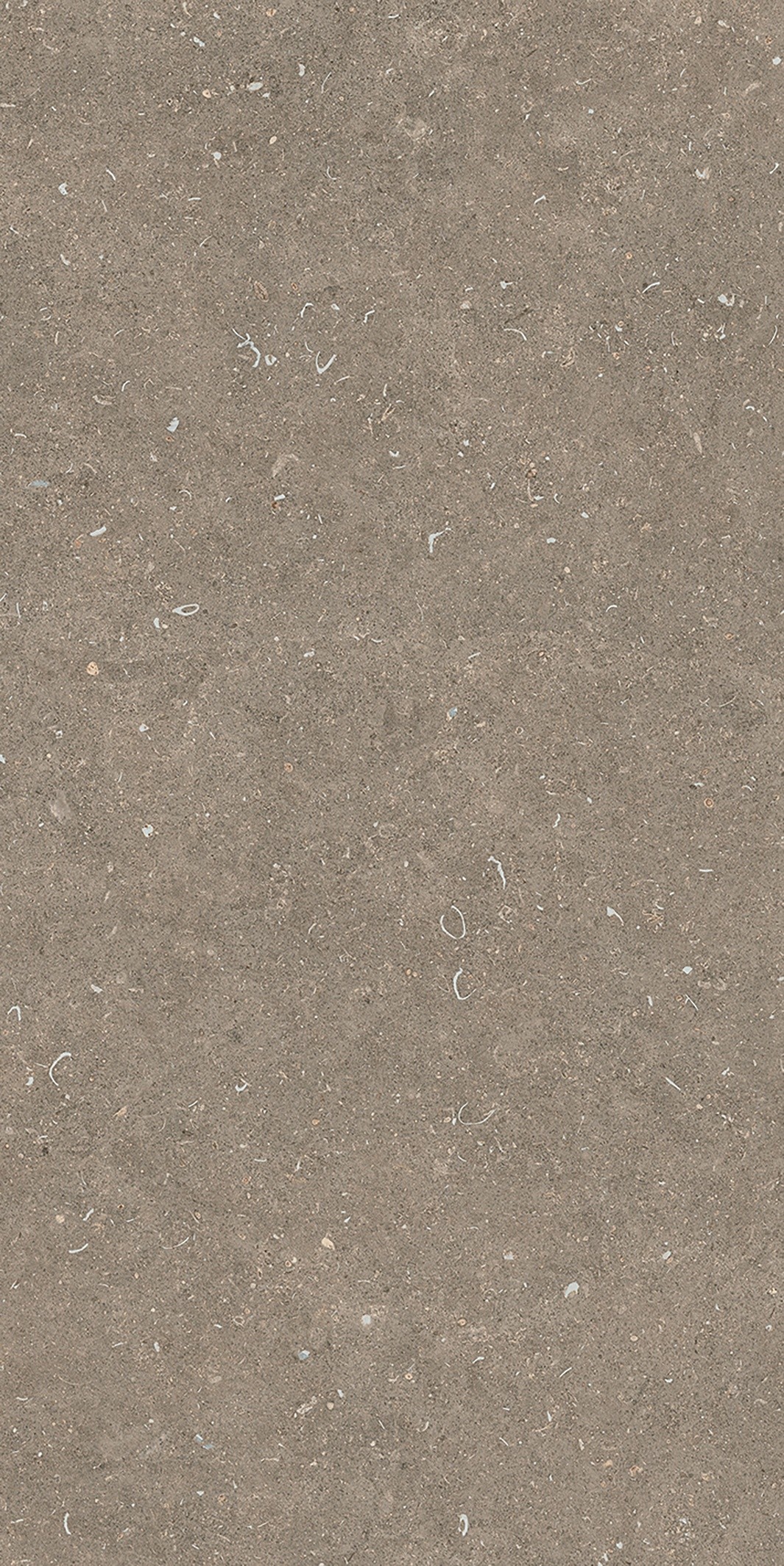 785576 Rinascenza Arena Pietra Matte 6mm 60x120 Casa Dolce Casa фото 8