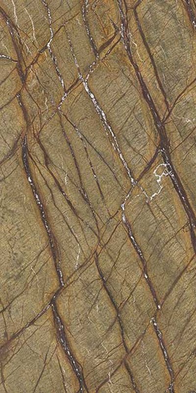 Marmoker Brown Forest Honed 60x120 Casalgrande Padana