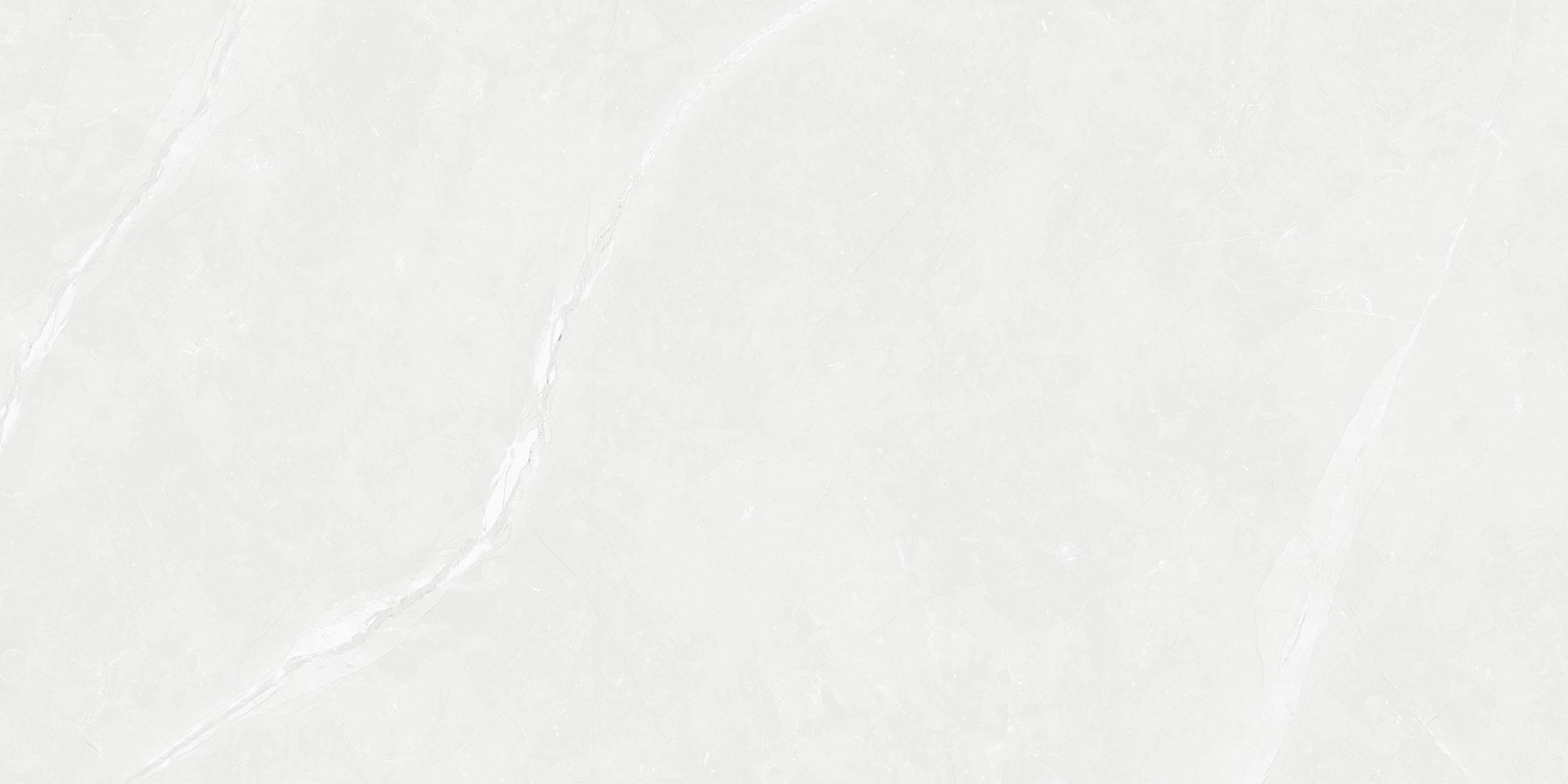 N9941T30 Devin Light Gray Polished Rect 60х120 Novin Ceram Yazd Tile Co