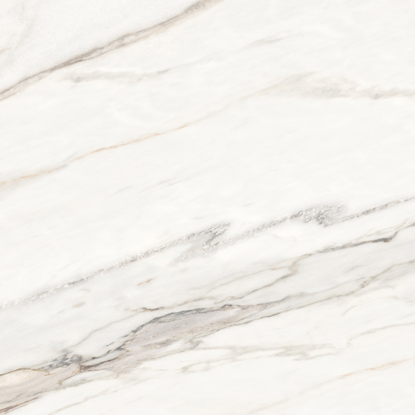6060CMN01 Calacatta Monsoon Sugar 600x600x9.5 Delacora