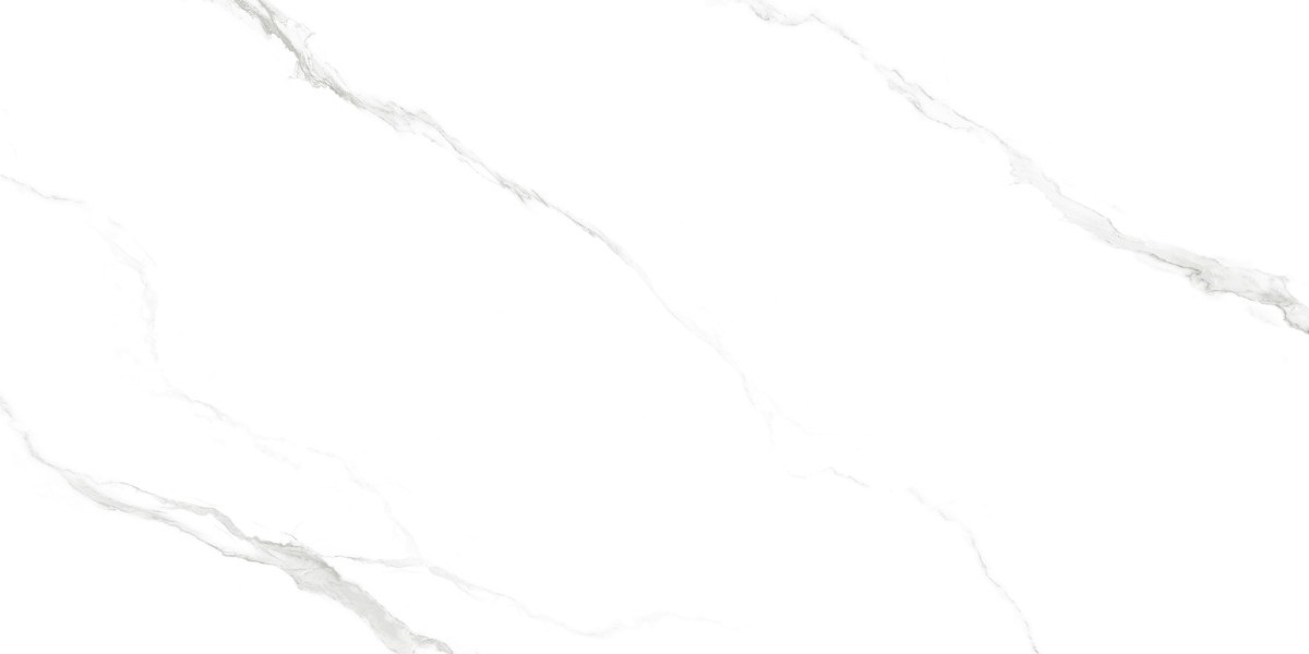 Carrara Classic Glossy 120x60 Van Hong