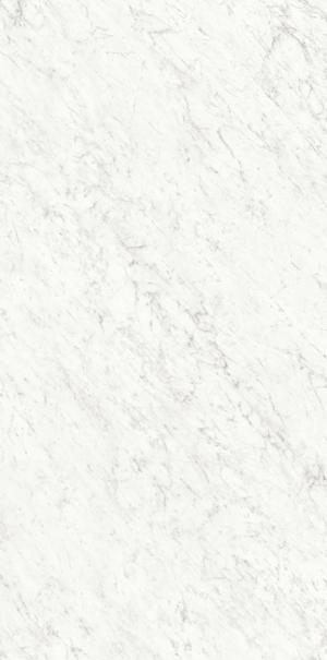 PL612555 Bianco Carrara Lucidato ret 60x120 Ariostea