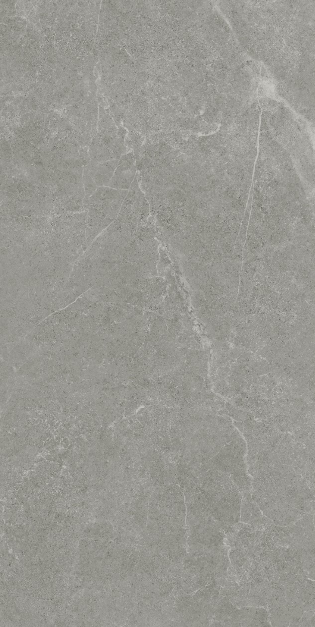 Ankara Matt 60x120 Realistik