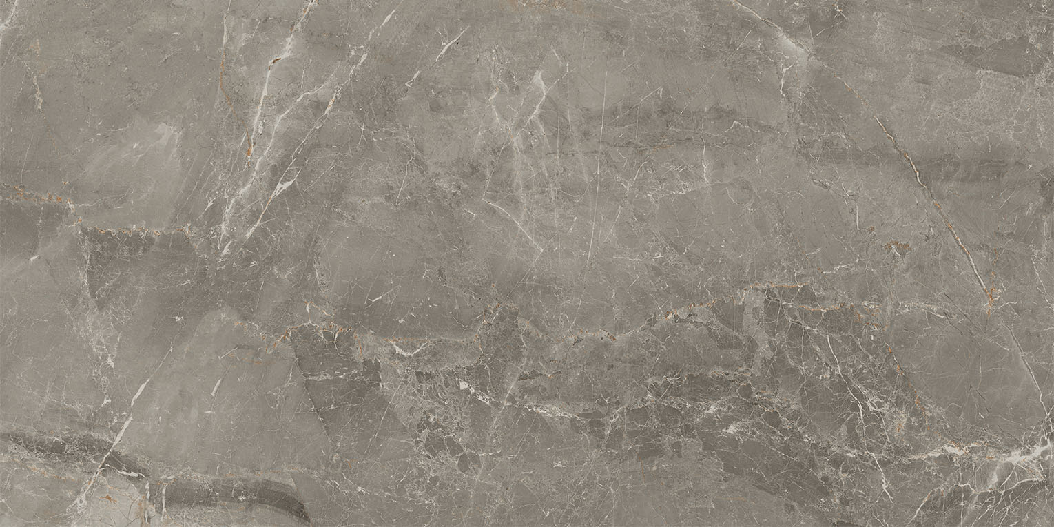 83346 Sybil Silver Levigato 60x120 Cerdomus