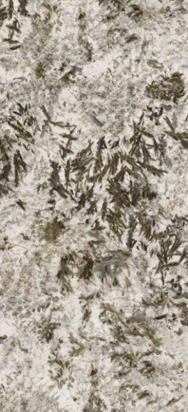 MN627BP261206 Frozen Fox Polished 6mm 120x260 Moreroom Stone