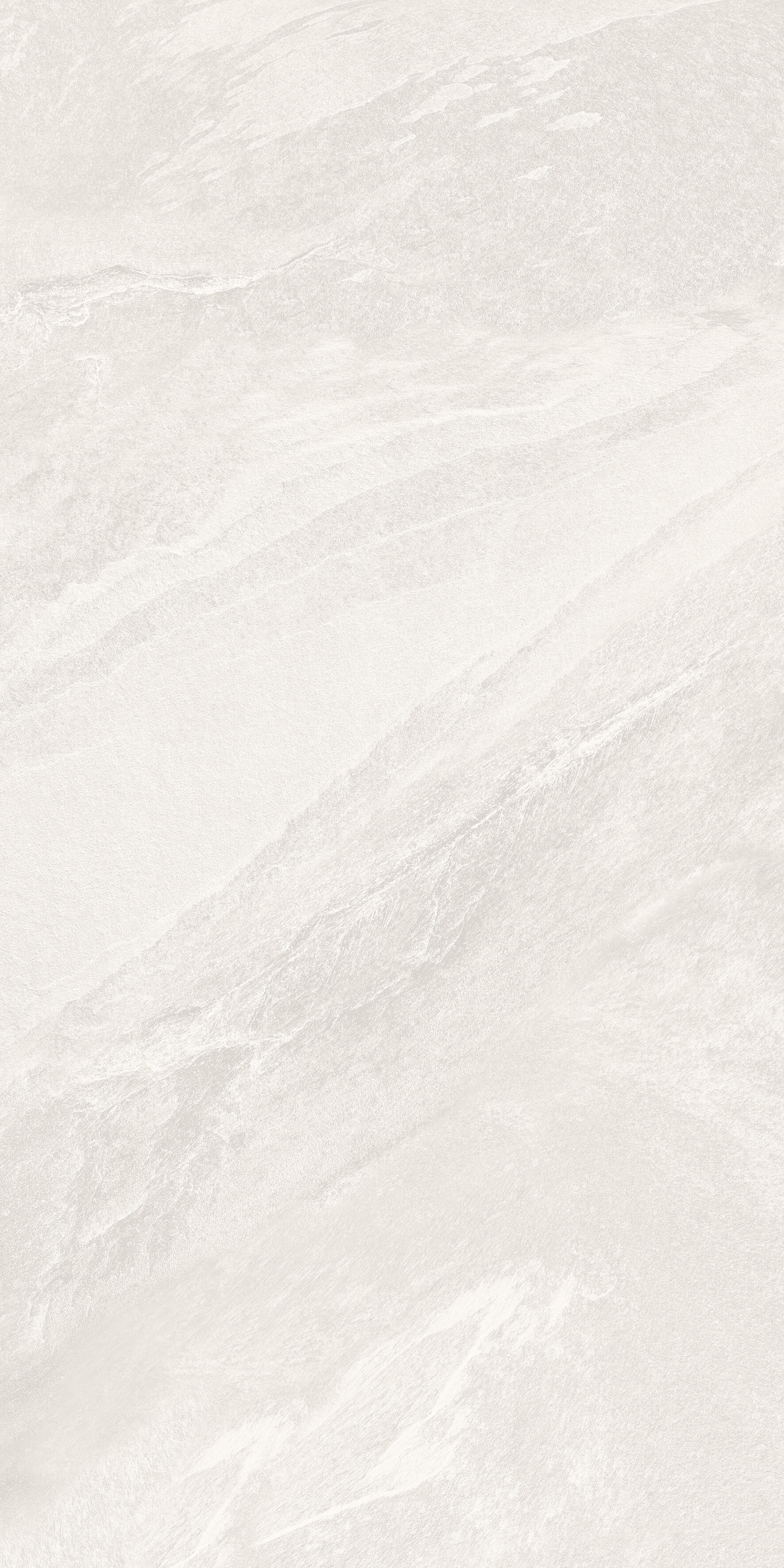 1206 Calcare White Matt 120x60 Artcer