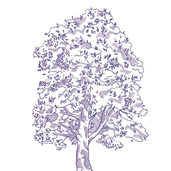 4101303 Stories Eddie Matte 10x10 41ZERO42 фото 34