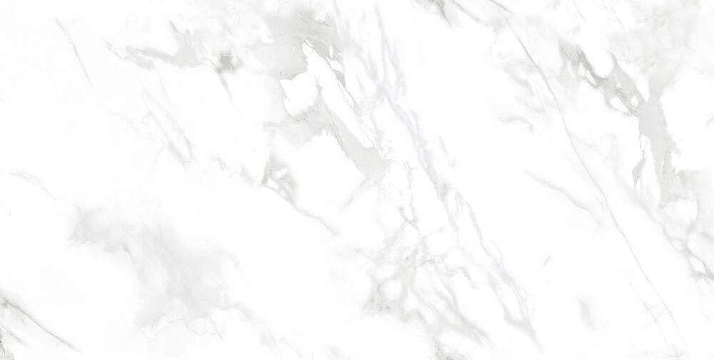 CR226 Lamia White Carving 60x120 PrimaVera