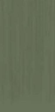 TC Light Green Mat 60x120 Mega Tile