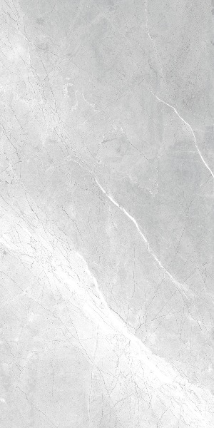 Asti Grey carving 60x120 Realistik