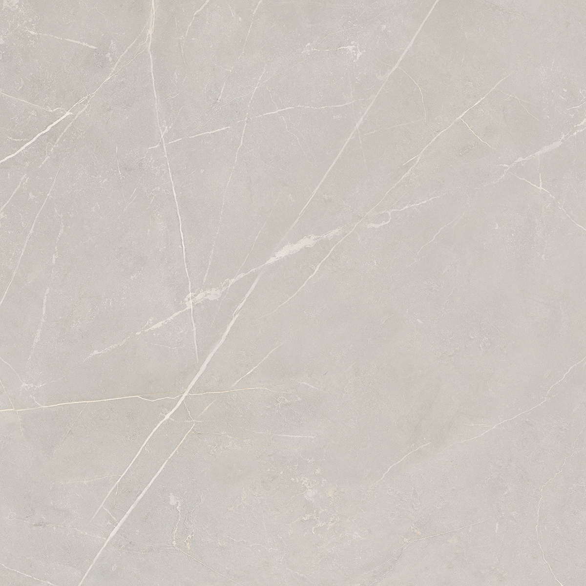 NL02 Nolana Light Grey Полированный Рект. 60x60x10 Estima