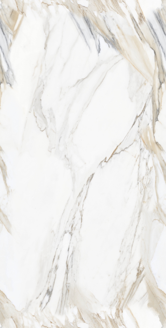 Calacatta Oro Glossy 60x120 Modern Tile