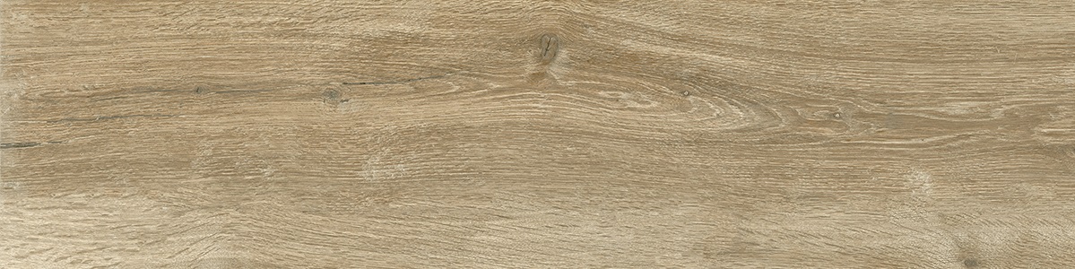 181642 Silvis Rovere ret R10 30x120 Sichenia