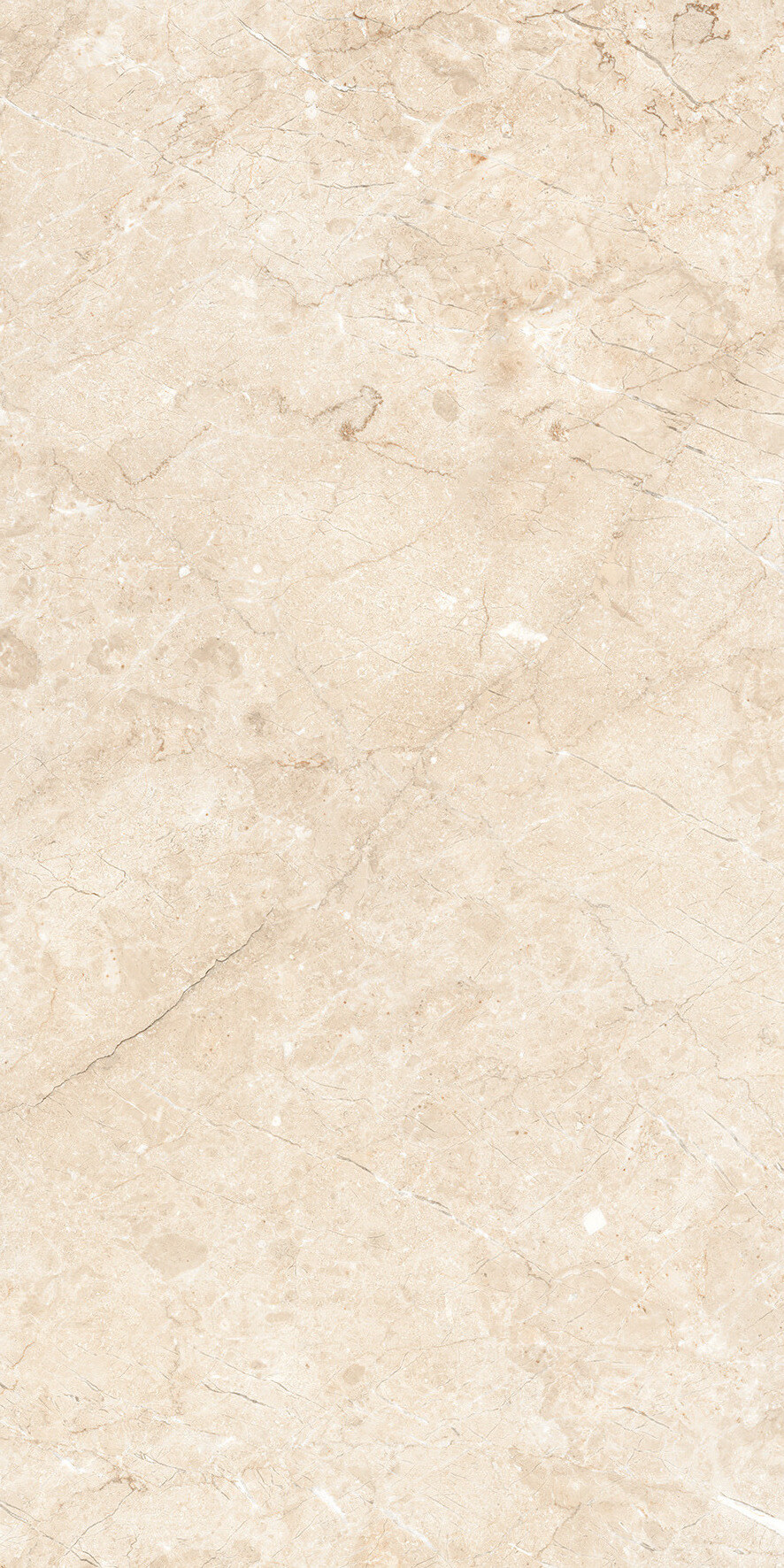 1216 Palermo Beige Matt Glr 9 mm 120x60 Artcer фото 4