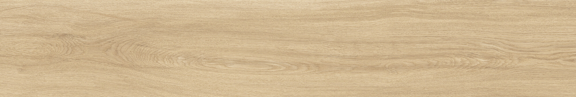 41726 Bloom Honey SP/24x151x0,9/R 24x151 Peronda