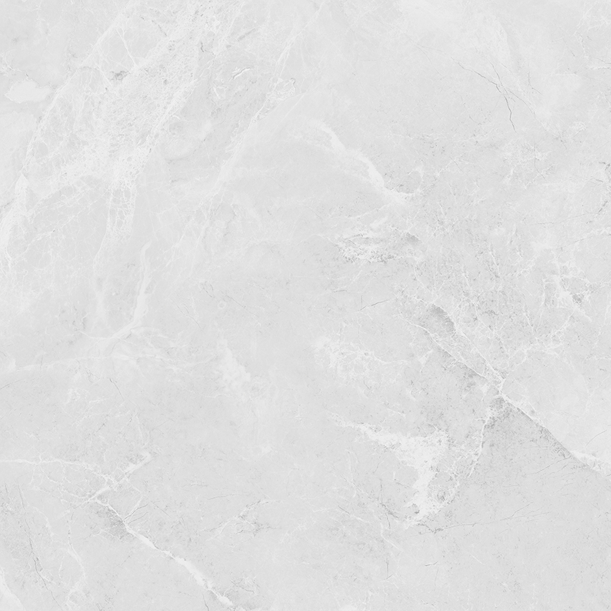 LP6060G0241R Berna Silver светло-серый матовый 59,5х59,5 Laparet