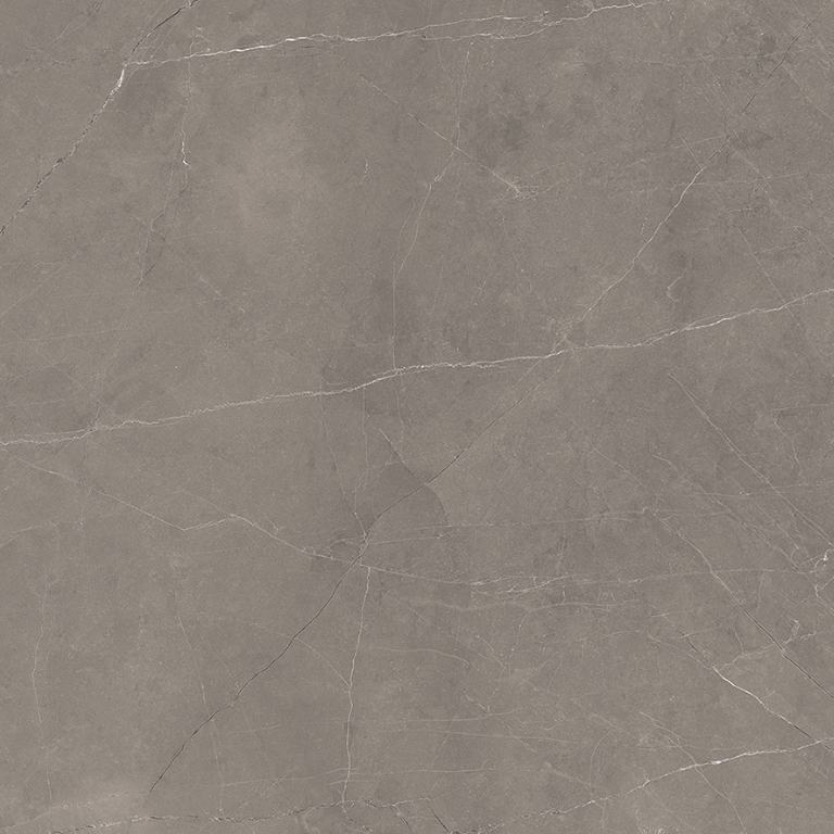 Splash Grey серый 60х60 Laparet