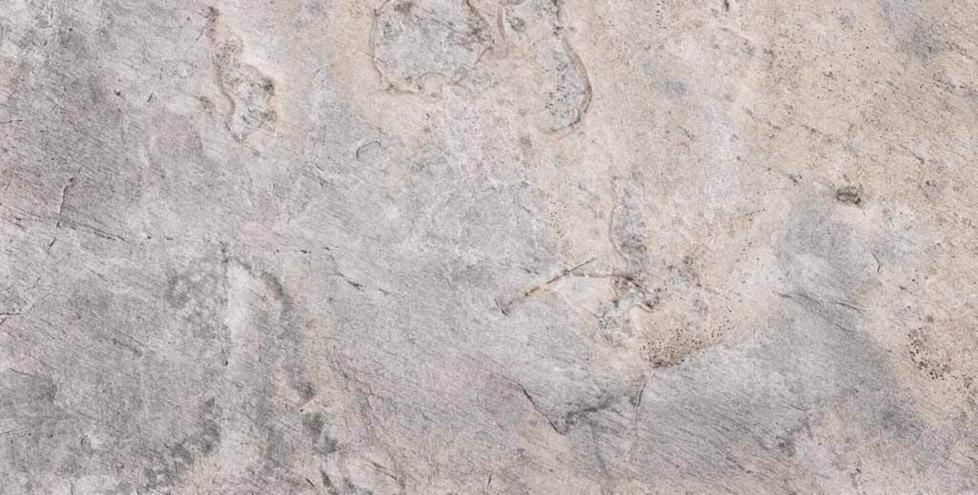 Nordic Slate Pearl 60x120 Prissmacer фото 4