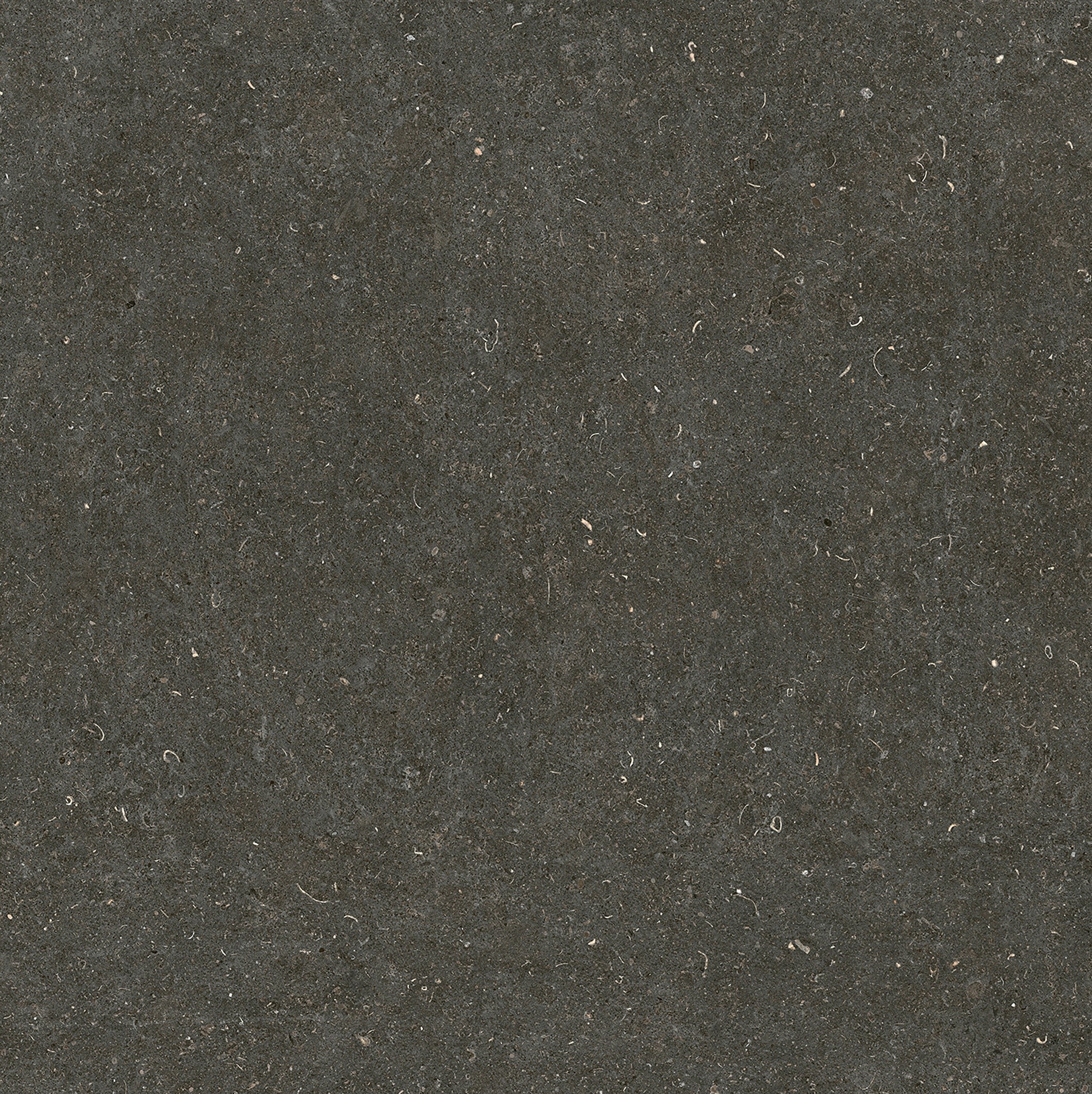 785581 Rinascenza Arena Platino Matte 6mm 120x120 Casa Dolce Casa фото 6