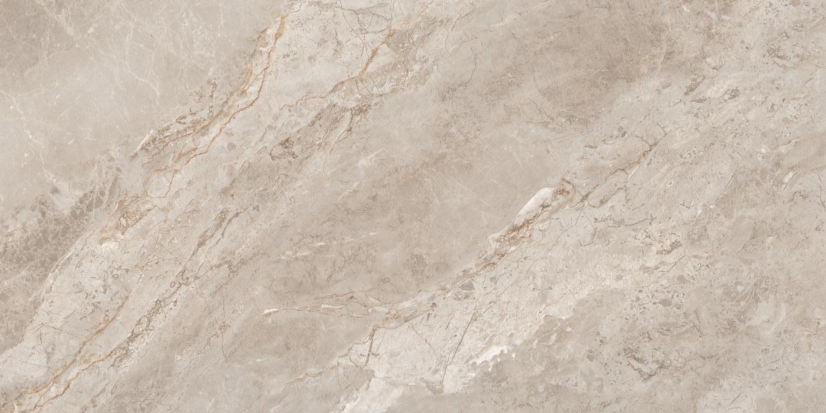 N20767 Rome Taupe Polished 60x120 Neodom фото 5
