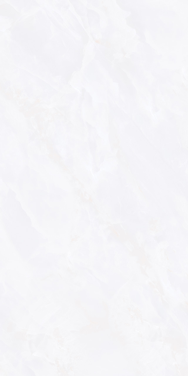 ZA-D12603 Glazed PR 1200x600x9 Vizavi фото 2