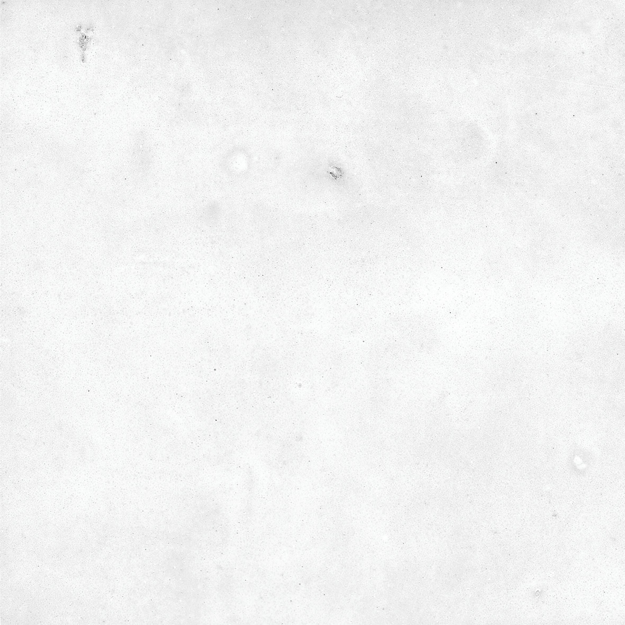40850 Afra White/10,7X10,7/R 10,7x10,7 Harmony фото 27
