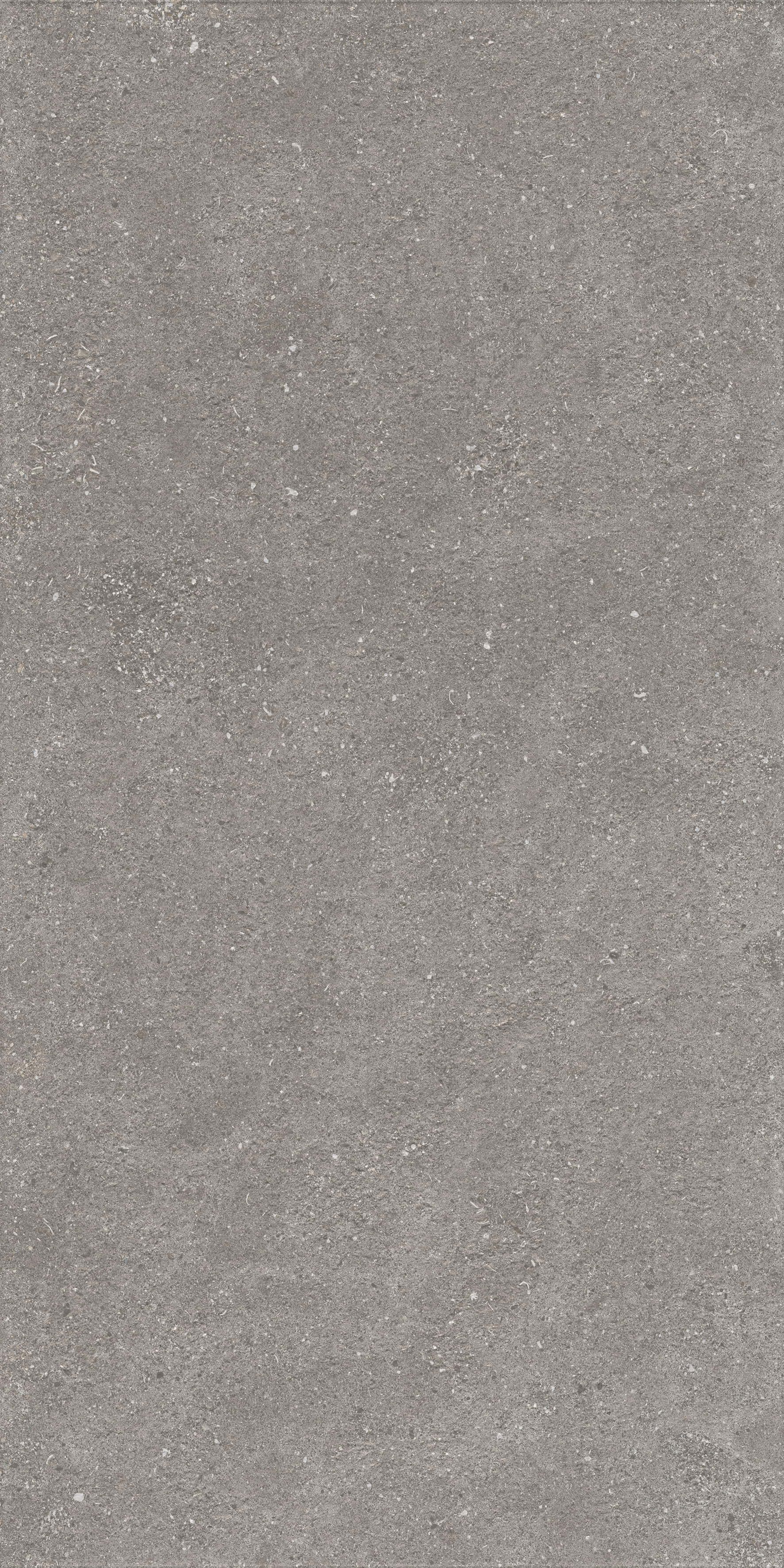 1224 Graniti Grey Matt Ghr 120x60 Artcer