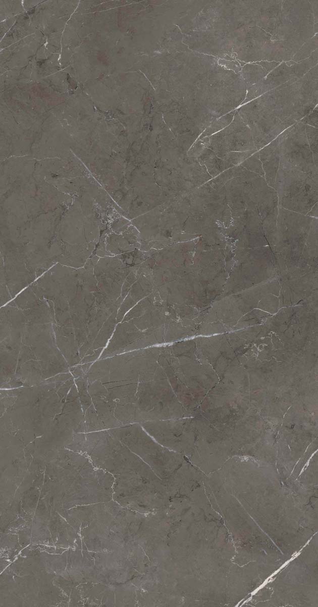 PF60006313 Stone Grey Lux R 60x120 ABK фото 11