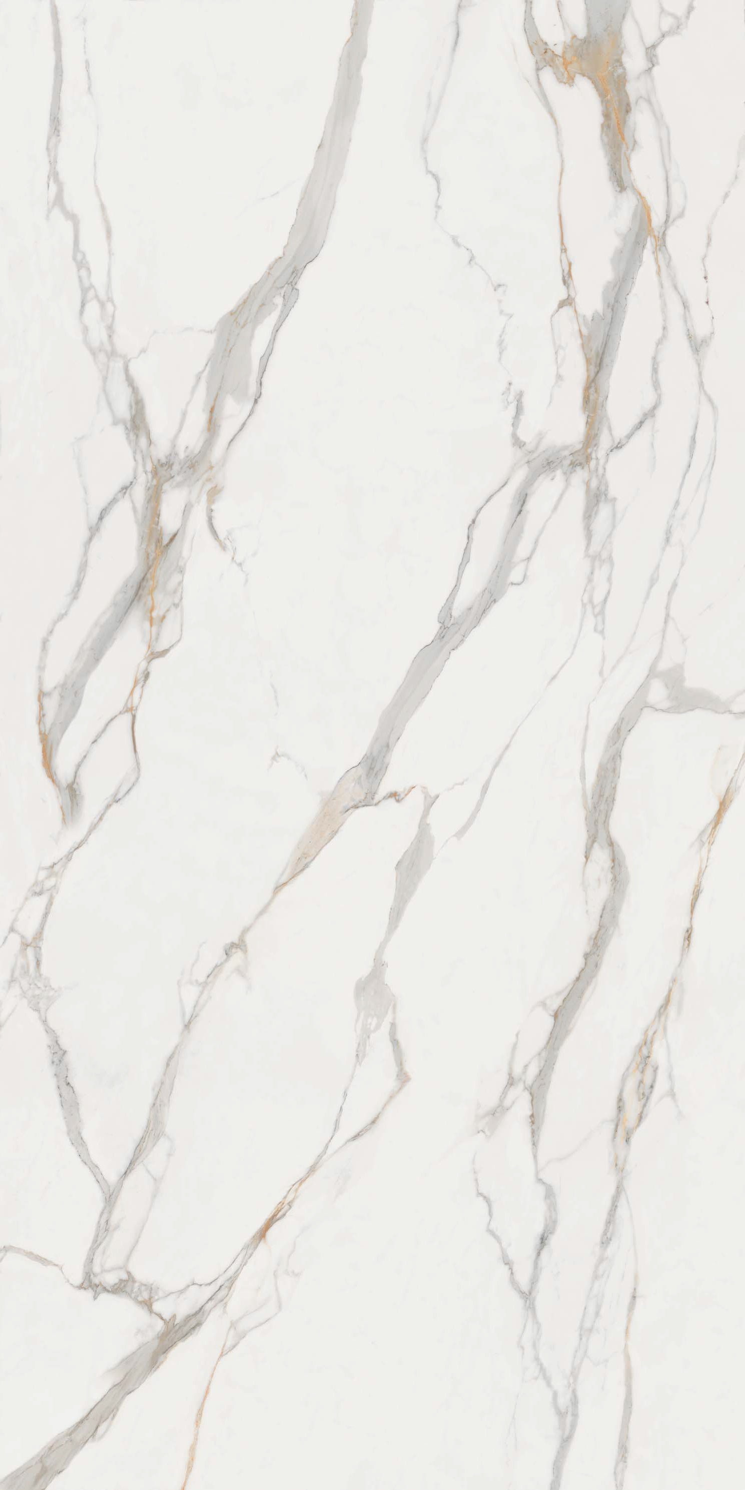 MB06 Calacatta Oro A Satin 12mm 162x324 Infinity