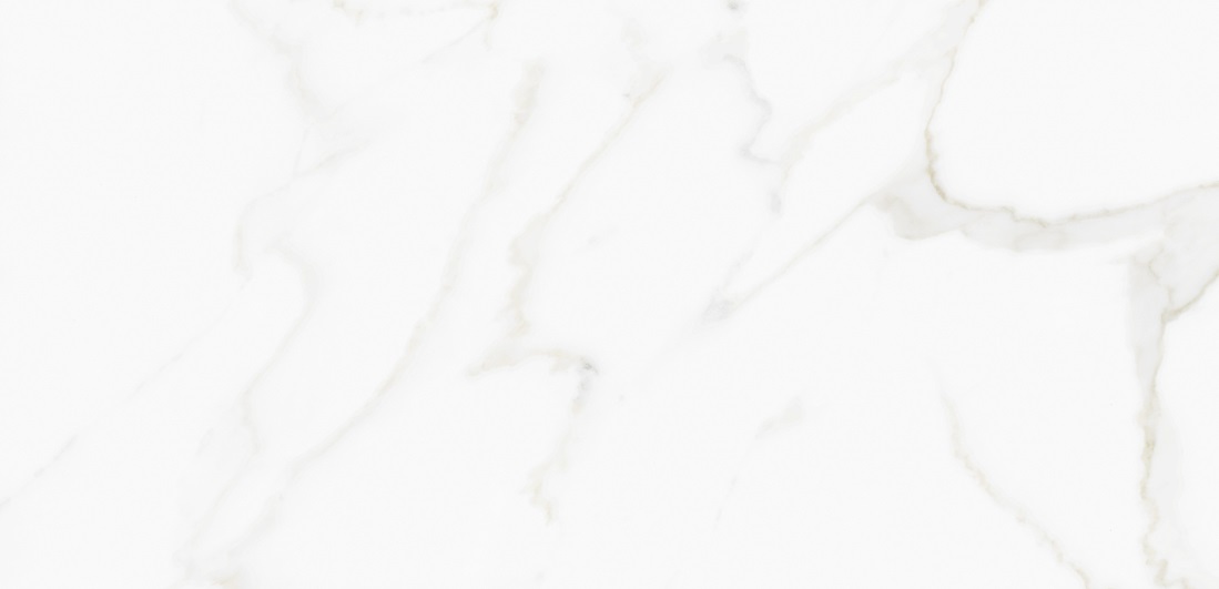 M4408P Omega Exotica Glossy 60x120 Buono Ceramica