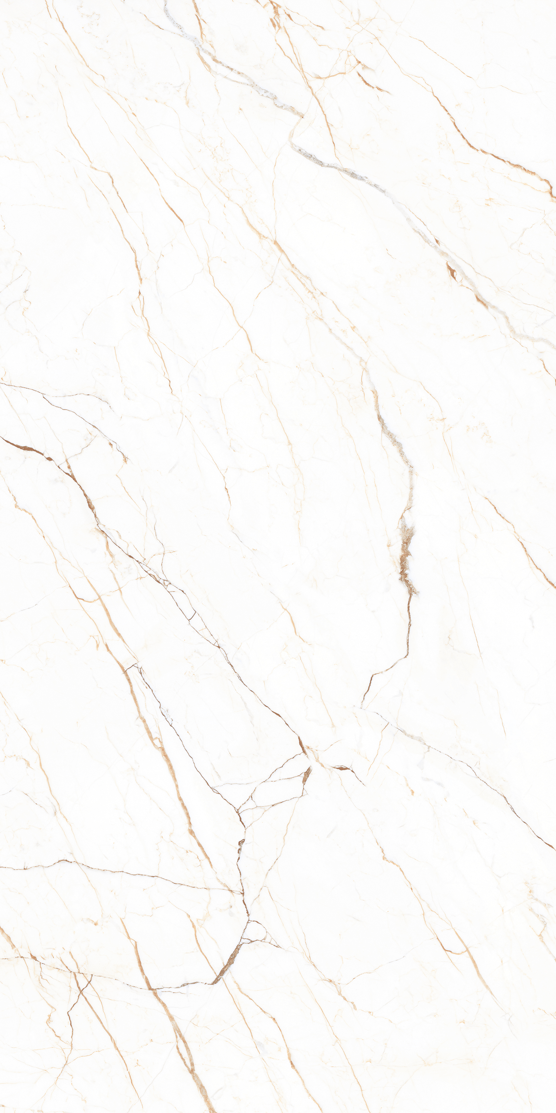 ETMAR1246CR60120 Fair Stone Carving 60x120 Eternal