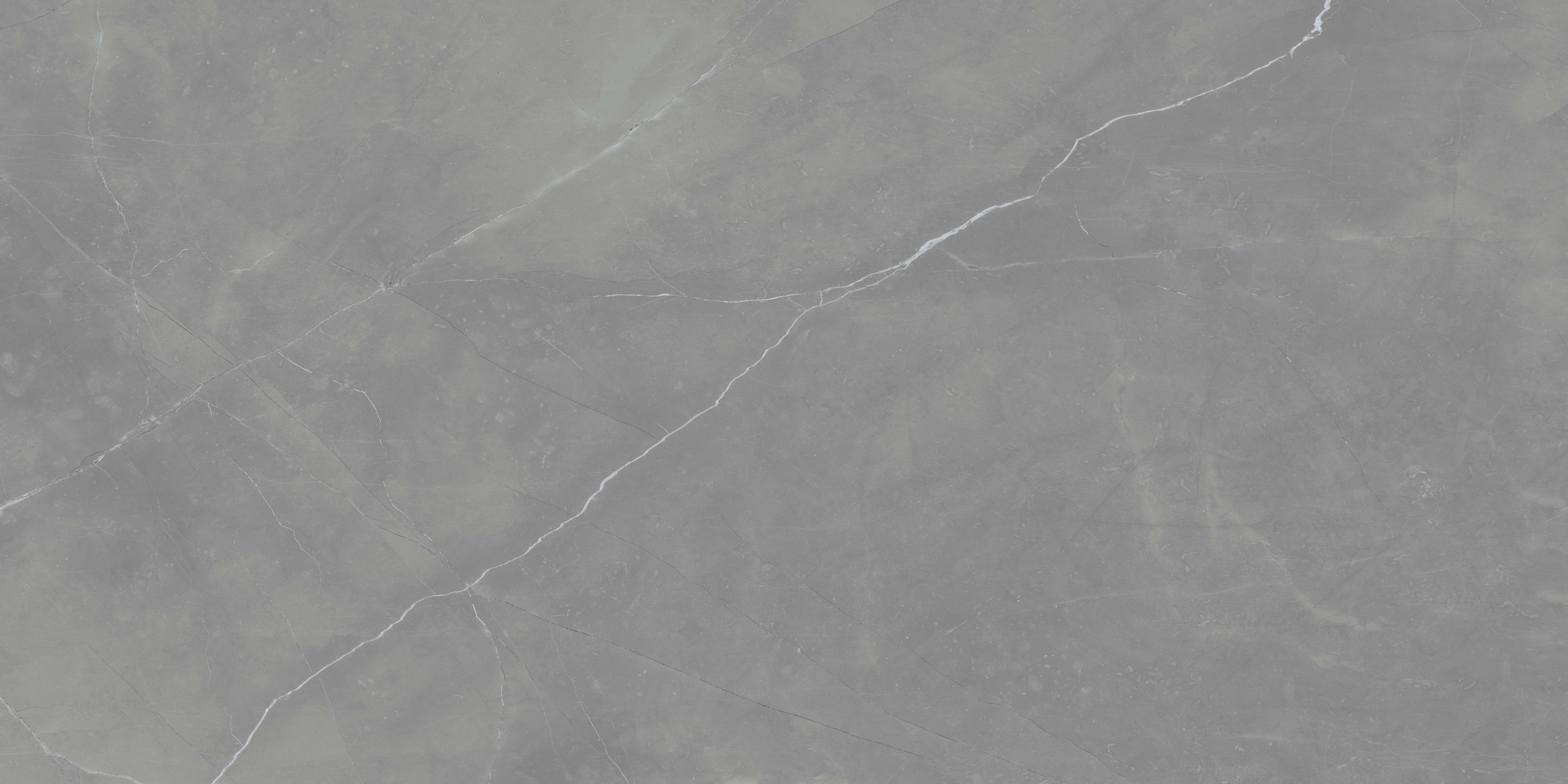 FL006012G Florido Grey Глянец 60х120 Pieza Ceramica фото 2