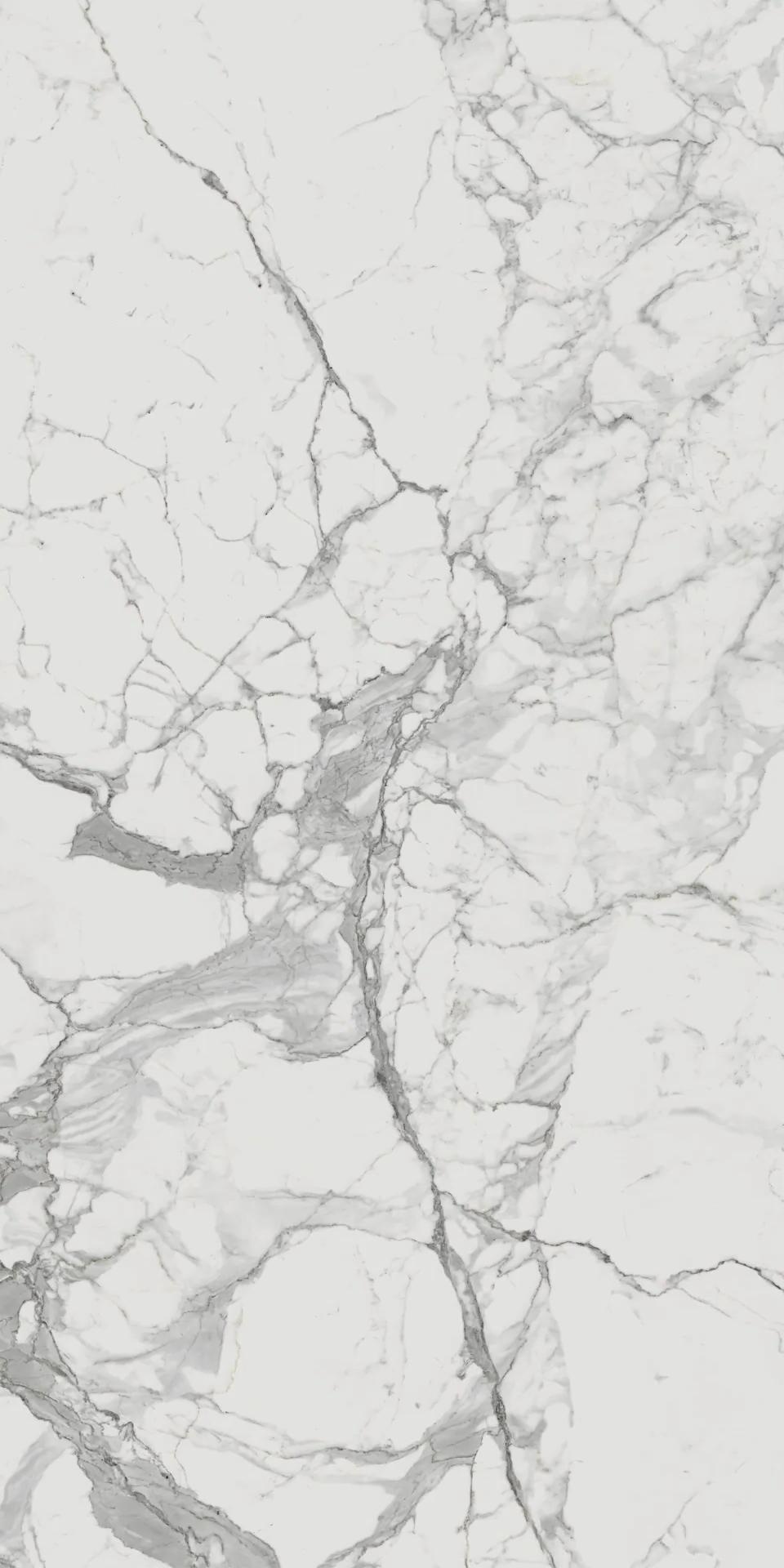 610010001682 Charme Evo Statuario Nat Ret 80x160 Italon фото 2
