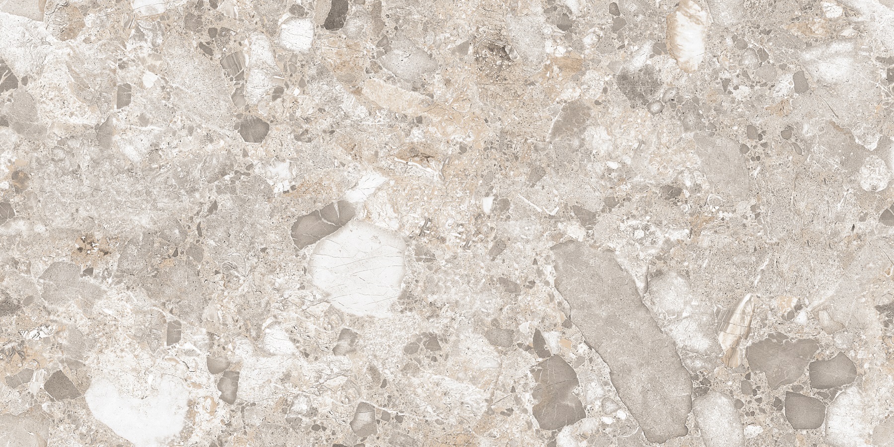 Venus Fossil Double Digital 60x120 Realistik