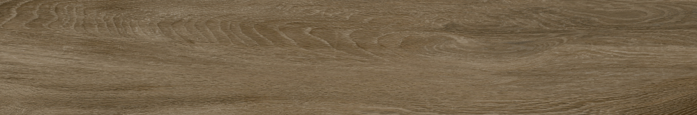 R0005-WD Jasmin Wood Natural матовый 20x120 AVS