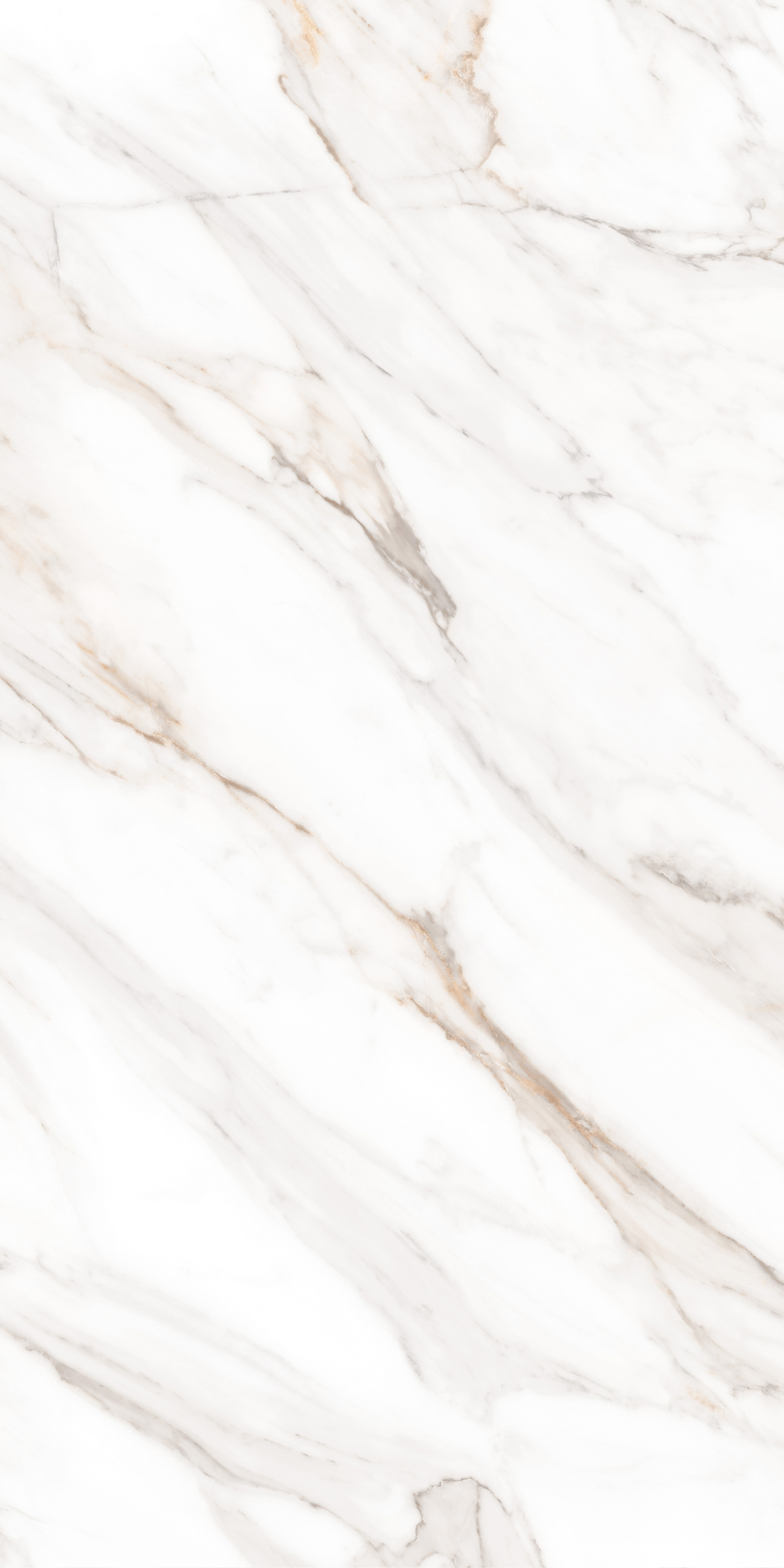 MPL-058631 Calacatta Gold Polished 60x120 Creto