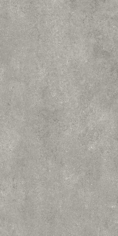 768581 Sensi Grey Fossil Nat Ret 6mm 120x240 Casa Dolce Casa
