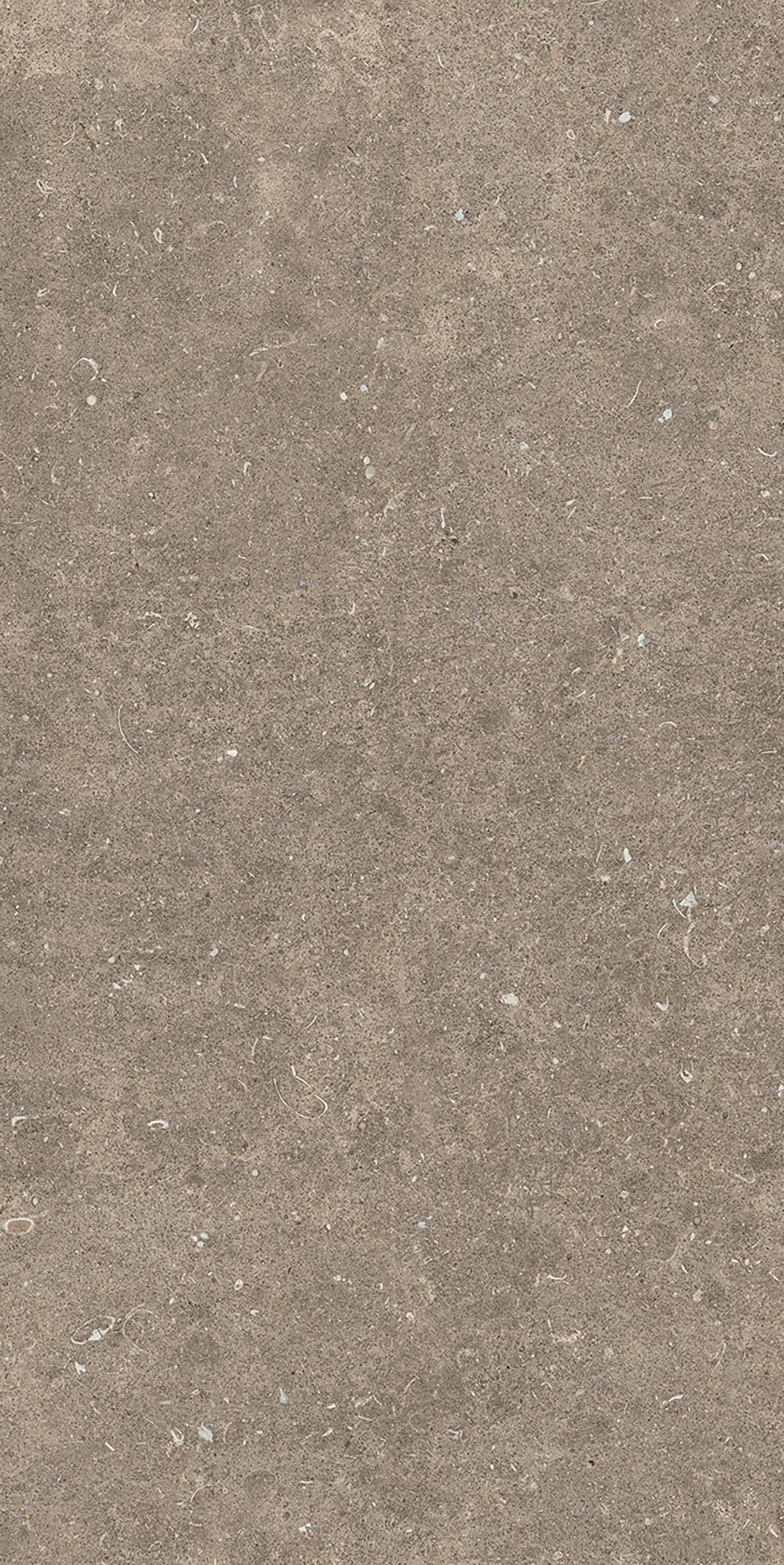 785576 Rinascenza Arena Pietra Matte 6mm 60x120 Casa Dolce Casa фото 3