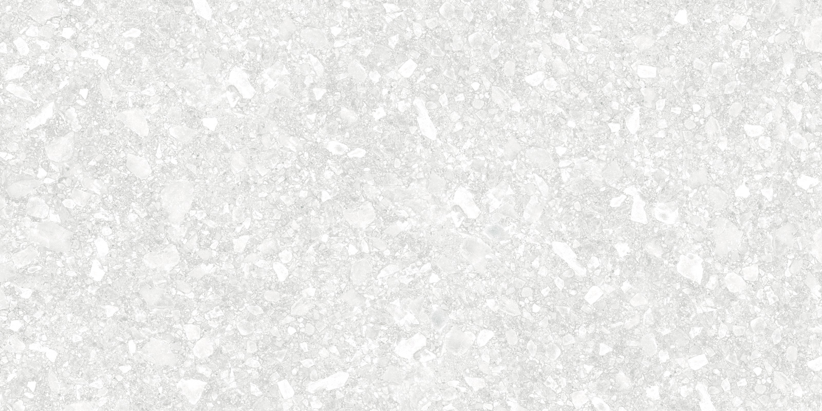 D12041M Turin Light 1200x600x9.5 Delacora