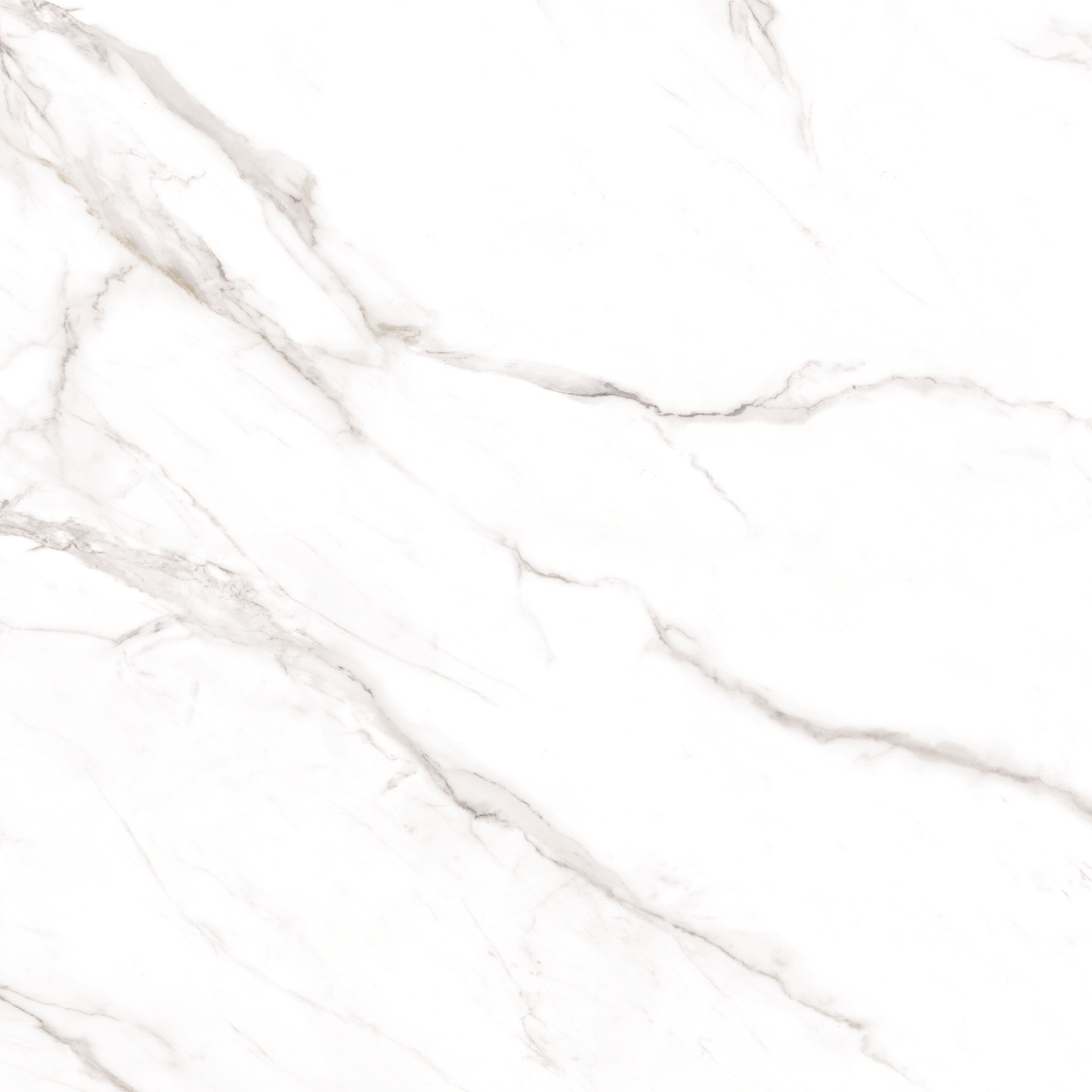 Statuario Alaska Glossy 80x80 Maimoon Ceramica
