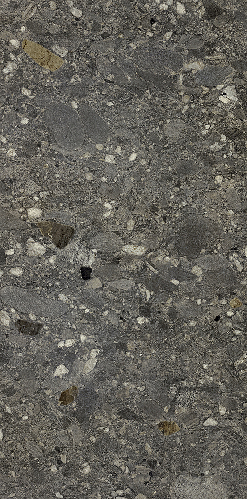 Ceppo Nero Rett 60х120 Cercom