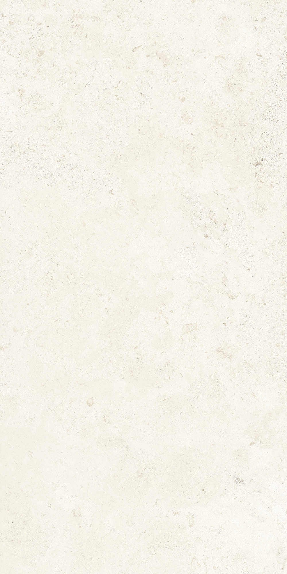 B71614 Lithoteke French Stone Honed RT 60x120 Bottega