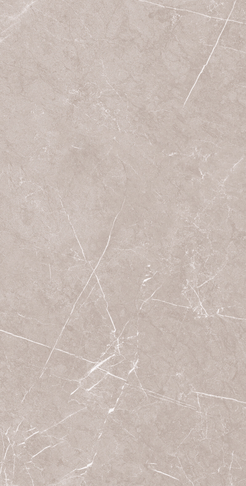 1069 Monte Grigio Carv 120x60 Artcer