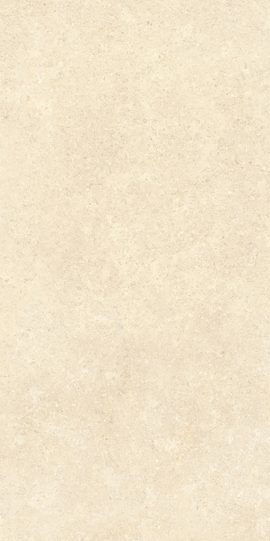 K948598R0001VTER SandStone Песочный Матовый R10A Ректификат 60х120 Vitra
