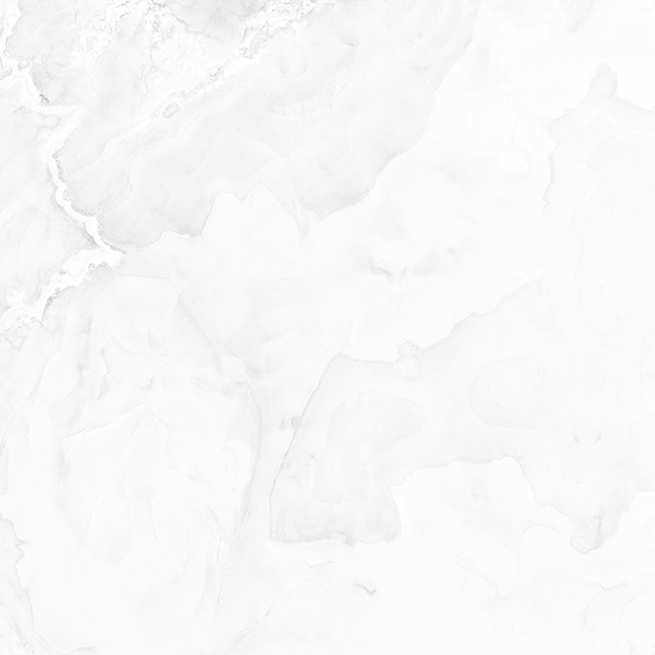 Constance Grey light PG 01 60x60 Gracia Ceramica