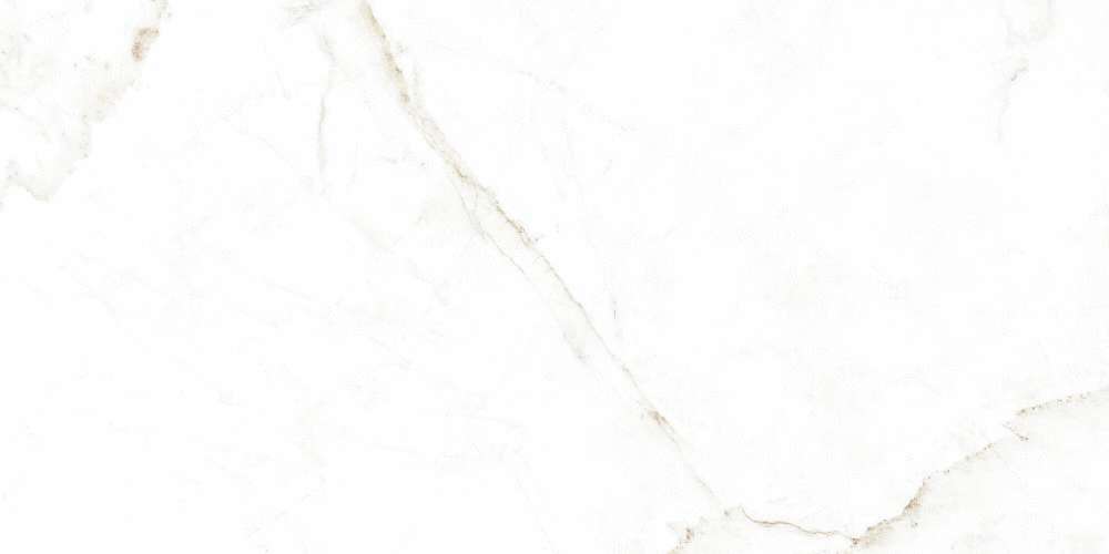 38712 Dual White NT 60x120 Peronda
