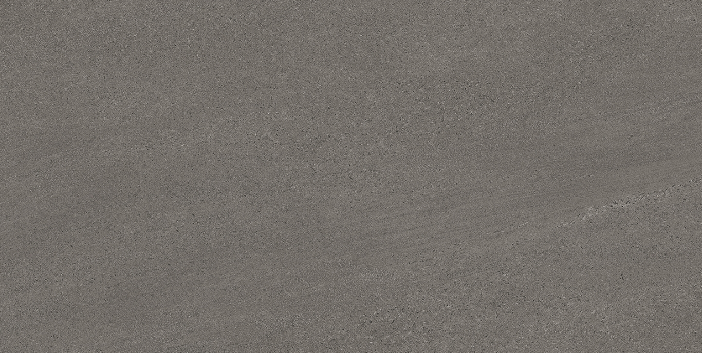 Eddystone Gris Matt 60x120 Geotiles