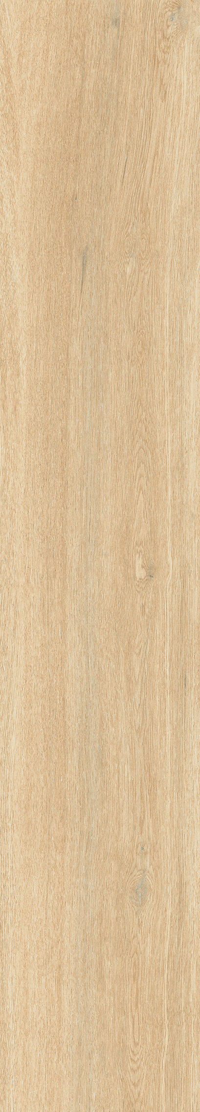 1063 Parma Beige Mate 120x20 Artcer