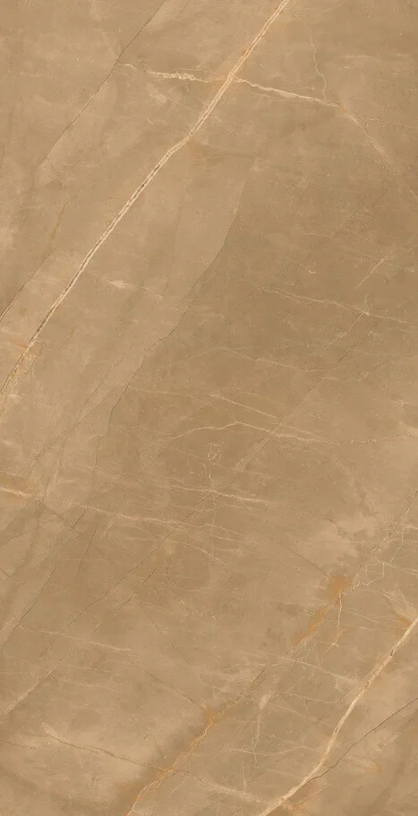 Eco Marble Royalish Brown 120x60 Artcer